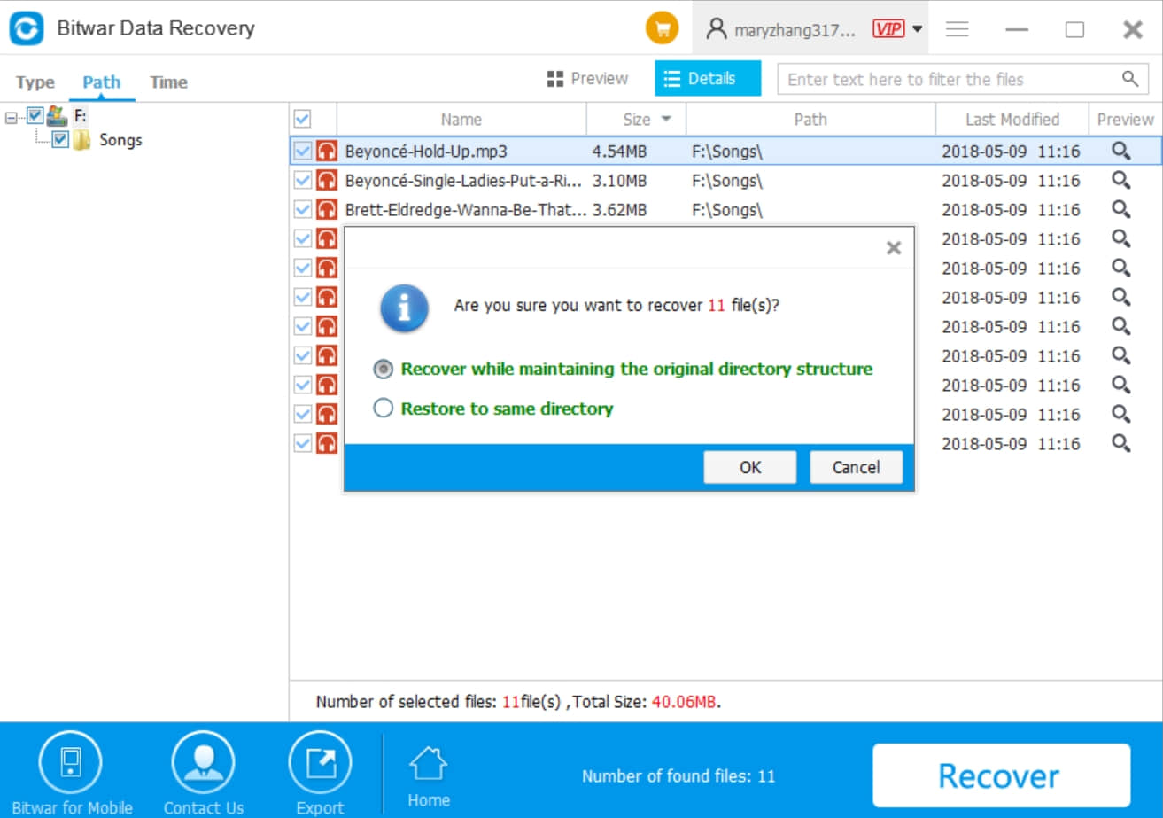 8-Data Recovery-Formatted Musics Recovery- Recover
