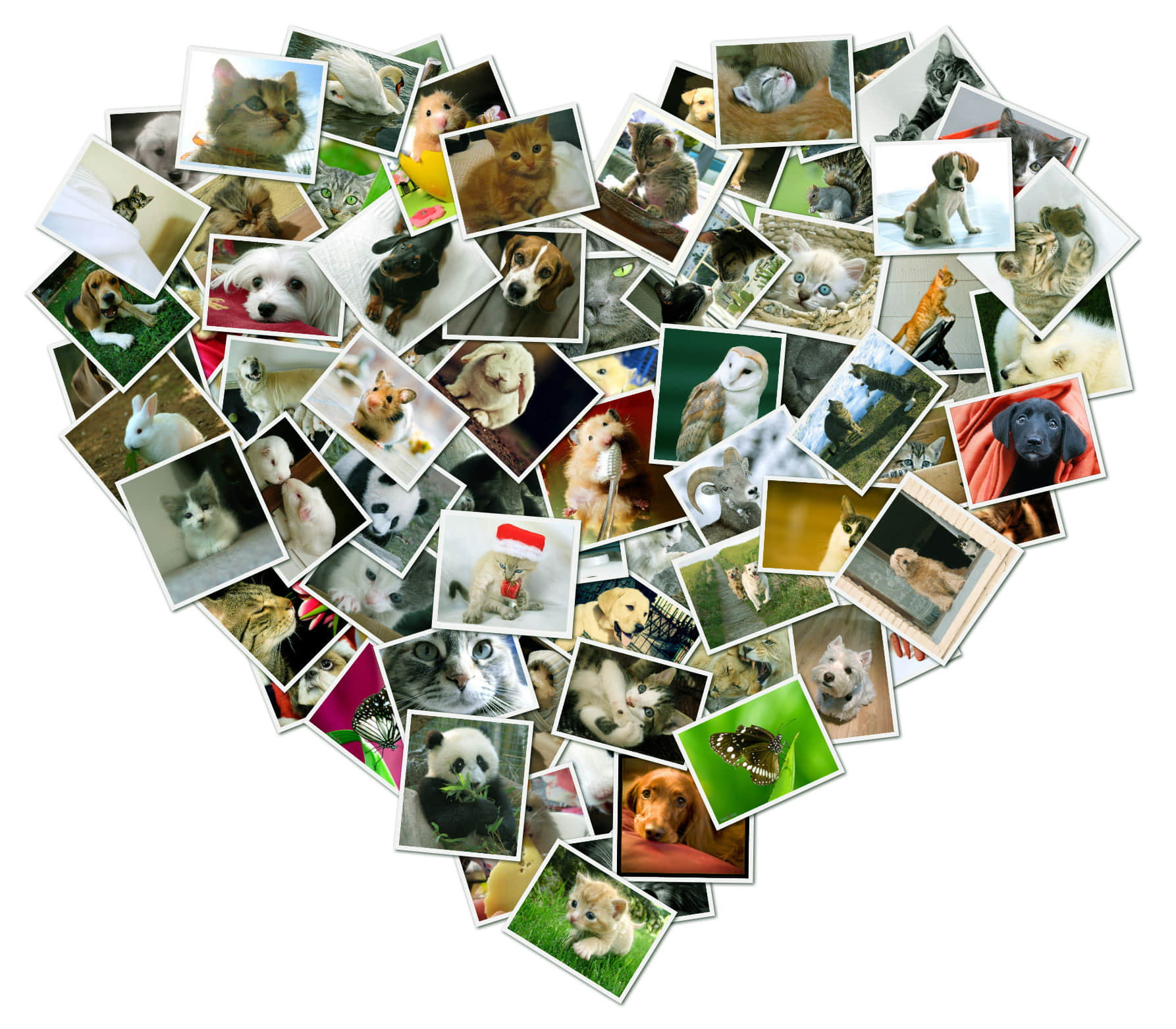 mage recovery - image collage mage recovery - image collage
